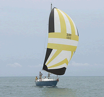 Sea Wings