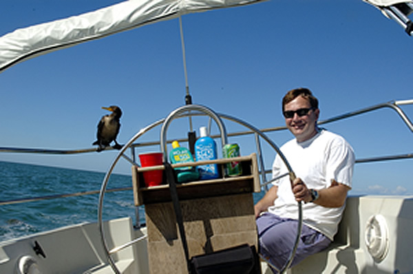 Sailing is for the Birds