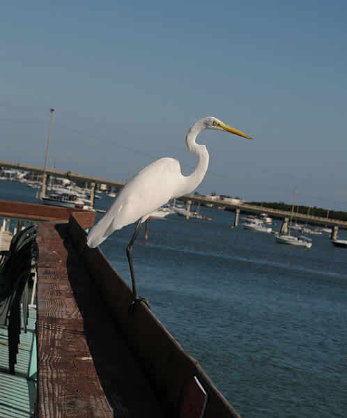 Photo Gallery