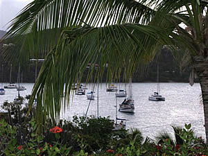 Marina Cay