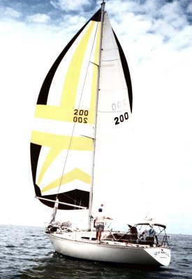 Sea Wings