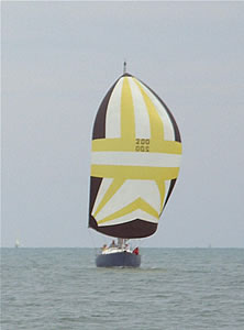 Sea Wings