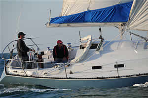 Sea Wings