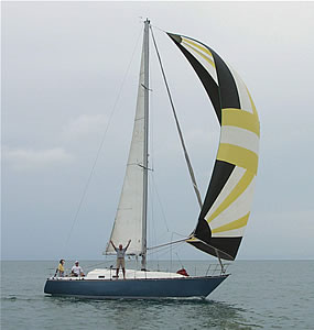 Sea Wings